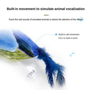 Bird Design Cat Teaser Toy