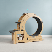 6-in-1 Upgraded Cat Exercise Wheel