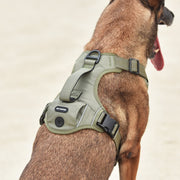 High-Performance Tactical Dog Harness