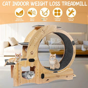 6-in-1 Upgraded Cat Exercise Wheel