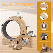 6-in-1 Upgraded Cat Exercise Wheel