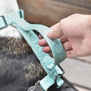 Adjustable Embroidered Dog Harness