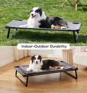 Large Elevated Dog Bed
