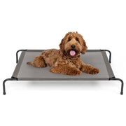 Elevated Dog Bed - Small