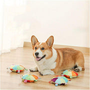 Plush Dog Flying Disc & Interactive Chew Toy