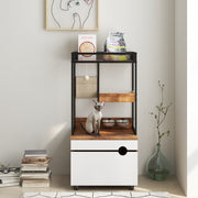 Cat Cabinet With Built-In Hidden Litter Box