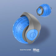 Interactive Auto-Rolling Cat Toy Ball