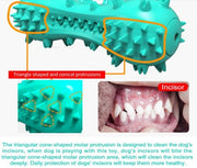 Interactive Dog Chew Toy & Toothbrush