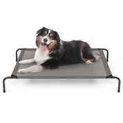 Elevated Dog Bed - Medium