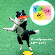 Dog Frisbee