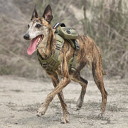 High-Performance Tactical Dog Harness with Backpack