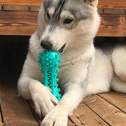 Interactive Dog Chew Toy & Toothbrush