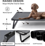 Large Elevated Dog Bed