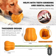 Multifunctional Dog Fetch Toy