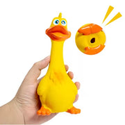 Duck Dog Toy
