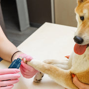 Pet Nail Grinder