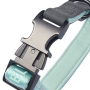 Heavy Duty Solid Dog Collar