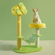 Cat Climbing Frame & Multi-Level Tower