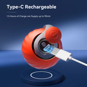 Rechargeable Cat Toy with Automatic Teaser Modes