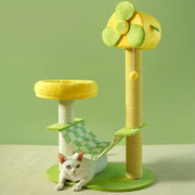 Cat Climbing Frame & Multi-Level Tower