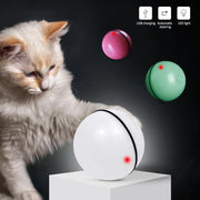 Interactive LED Cat Toy Ball