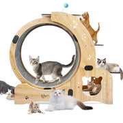 6-in-1 Upgraded Cat Exercise Wheel