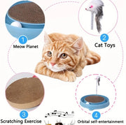 Multi-Functional Cat Scratching Board with Ball Track